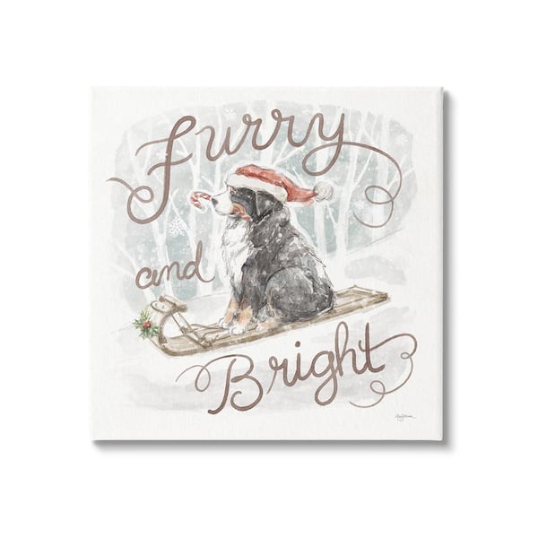 Stupell Industries Furry and Bright Dog by Mary Urban 1-Piece Unframed Graphic Print Animal Poster Art Print 17 in. x 17 in.