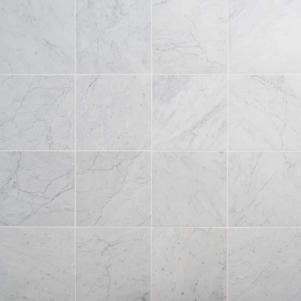 Heritage Carrara White 12 in. x 12 in. Tumbled Marble Floor and Wall Tile (10 Sq. Ft. / Case) price history on PriceWatchPro