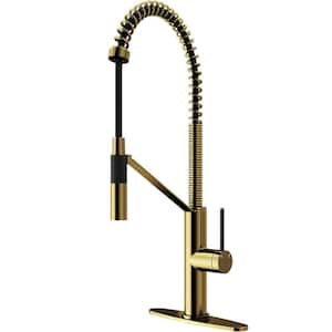 Livingston Single Handle Pull-Down Sprayer Kitchen Faucet Set with Deck Plate in Matte Brushed Gold