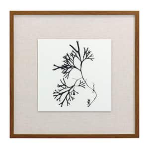 Naturalism III Framed Abstract Art Print 25 in. x 25 in.