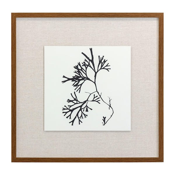 Yosemite Home Decor Naturalism III Framed Abstract Art Print 25 in. x 25 in.