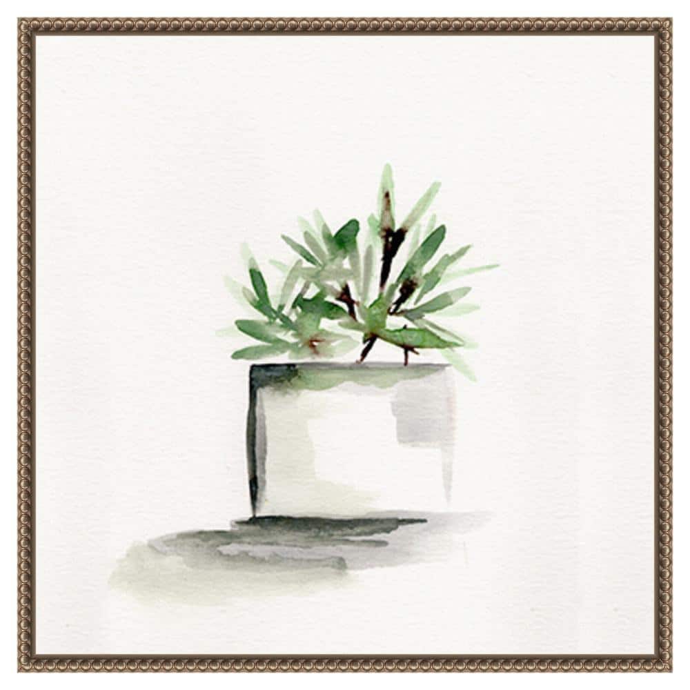 Potted Botanicals IV by Marcy Chapman 22 in. W x 22 in. H Canvas Float Frame in Bronze price history on PriceWatchPro