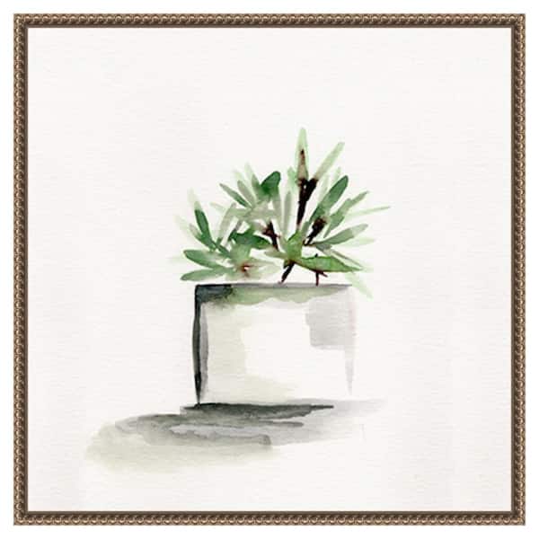 Amanti Art Potted Botanicals IV by Marcy Chapman 22 in. W x 22 in. H Canvas Float Frame in Bronze