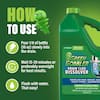 Green Gobbler 1 Gal. Drain and Toilet Clog Dissolver G8032D - The Home Depot