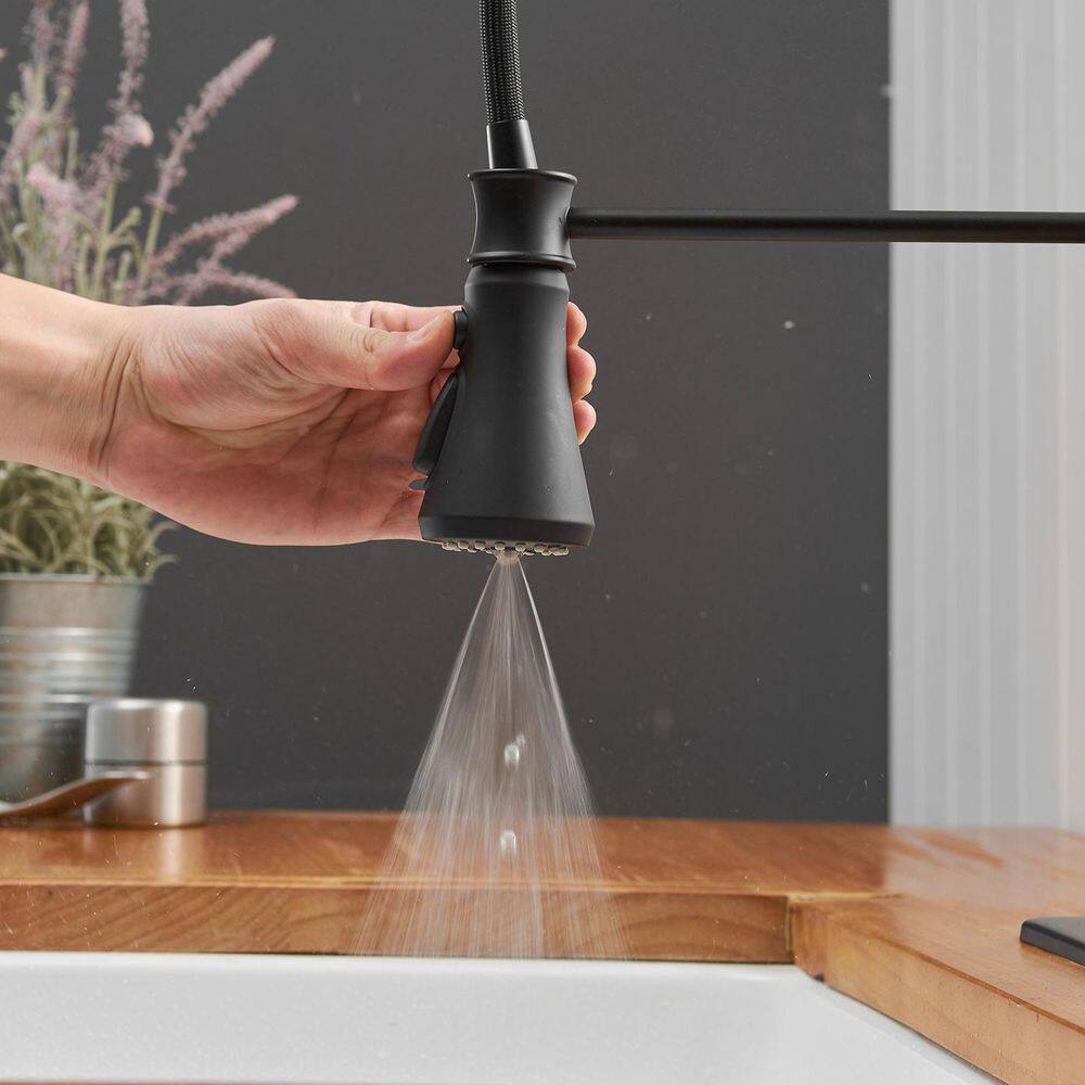Matte Black Pull-Down Kitchen Faucet with Deck Plate