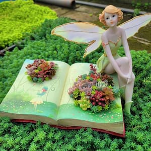 Succulent Plants Collection Flowers with Book Style Decorative Base