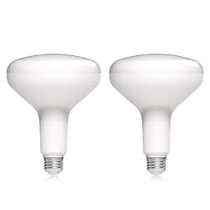 75-Watt Equivalent BR40 Dimmable ENERGY STAR LED Light Bulb Soft White (2-Pack)