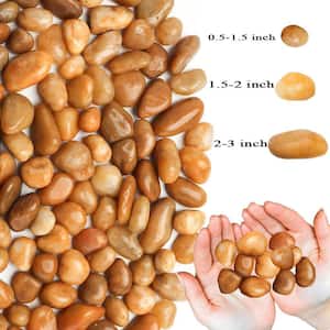 Ashman's Stones 0.5-1.5 in. Golden River Rock Solar 20 lbs. -Pack for Garden Pathway Decor Aquarium and Water fountains.