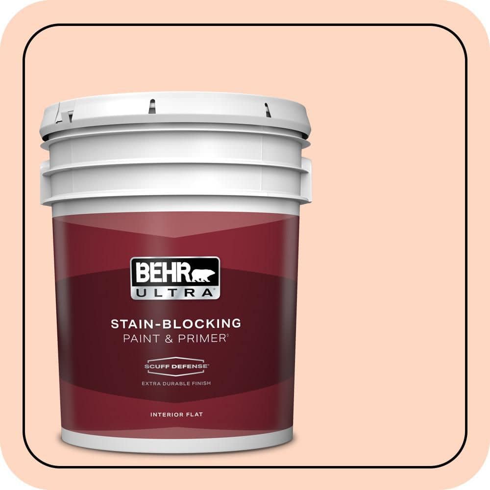 5 gal. #220A-2 Friendship Extra Durable Flat Interior Paint & Primer price history on PriceWatchPro