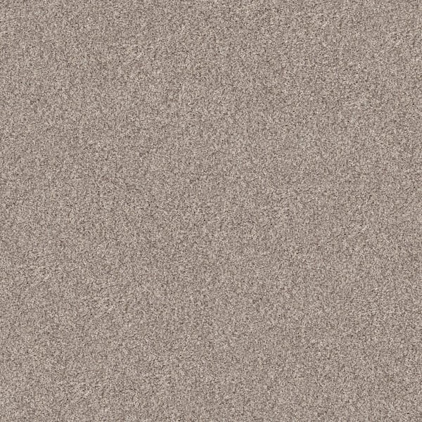 Home Decorators Collection Cherry On Top I Rocky Bluffs Beige 42 oz. Solution Dyed Polyester Texture Carpet - Installation Required