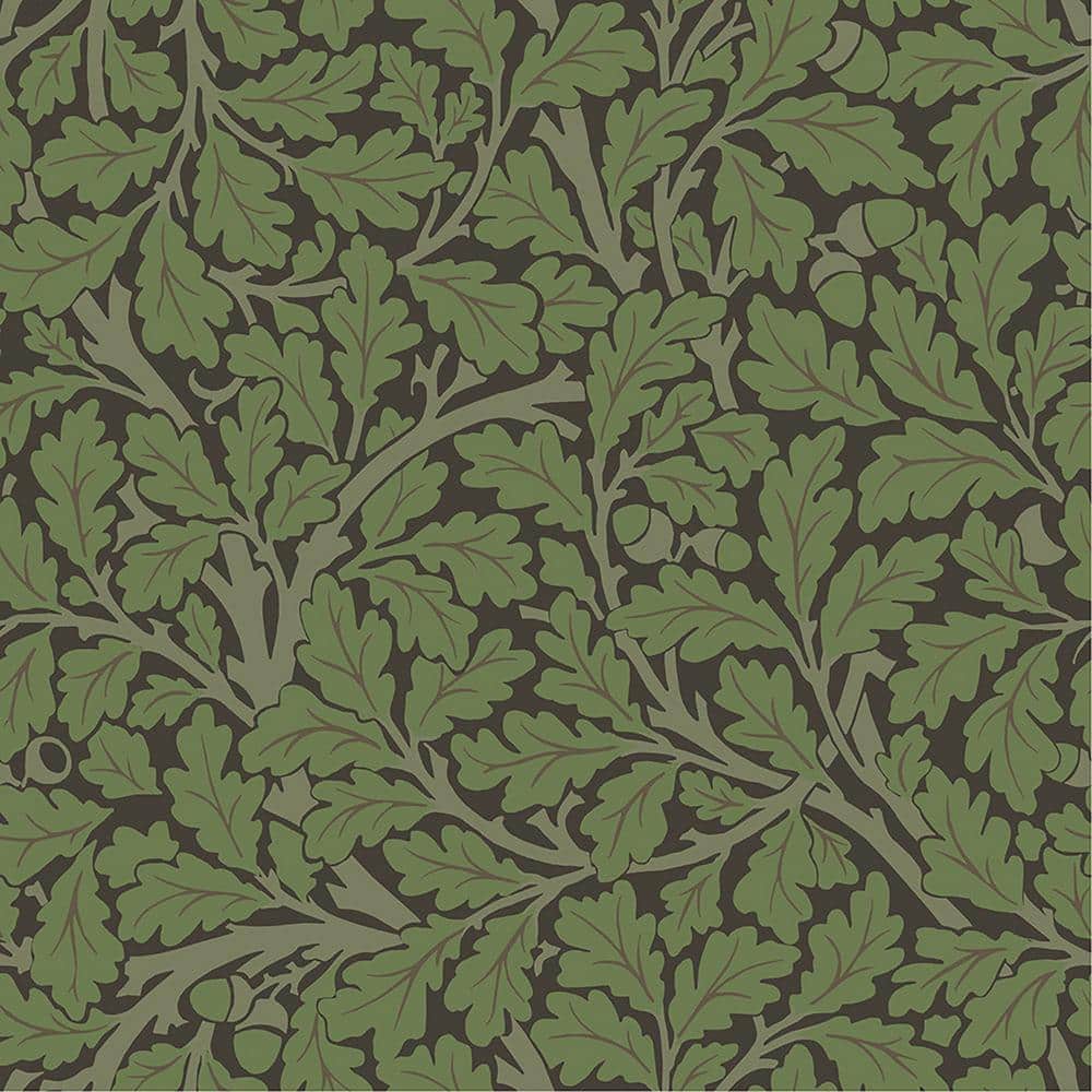 Oak Tree Leaf Green Non-Pasted Non Woven Wallpaper Sample price history on PriceWatchPro