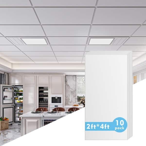 Genesis 2-ft x 2-ft Border Fill White PVC Drop Ceiling Tile (1-Pack, 4-sq ft / Case)