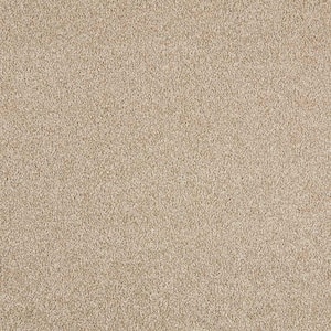 Tides Edge  - Praline - Beige 50 oz. Triexta Texture Installed Carpet