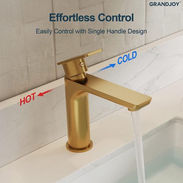 GRANDJOY 5 in. Faucet Height 1-Handle Single Hole Bathroom Faucet