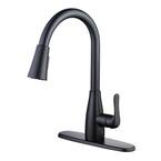 McKenna Single-Handle Pull-Down Sprayer Kitchen Faucet in Matte Black with TurboSpray and FastMount