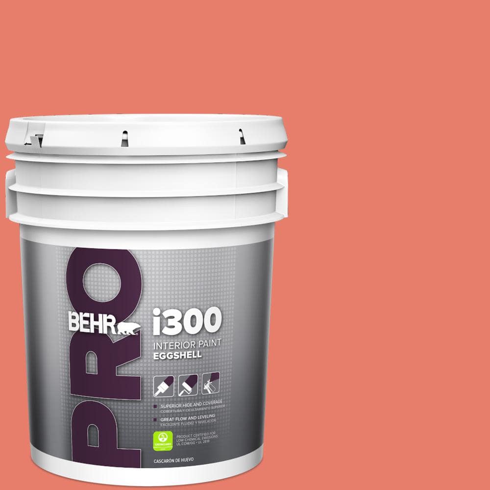 5 gal. #HDC-SM14-12 Cosmic Coral Eggshell Interior Paint product image for price tracking