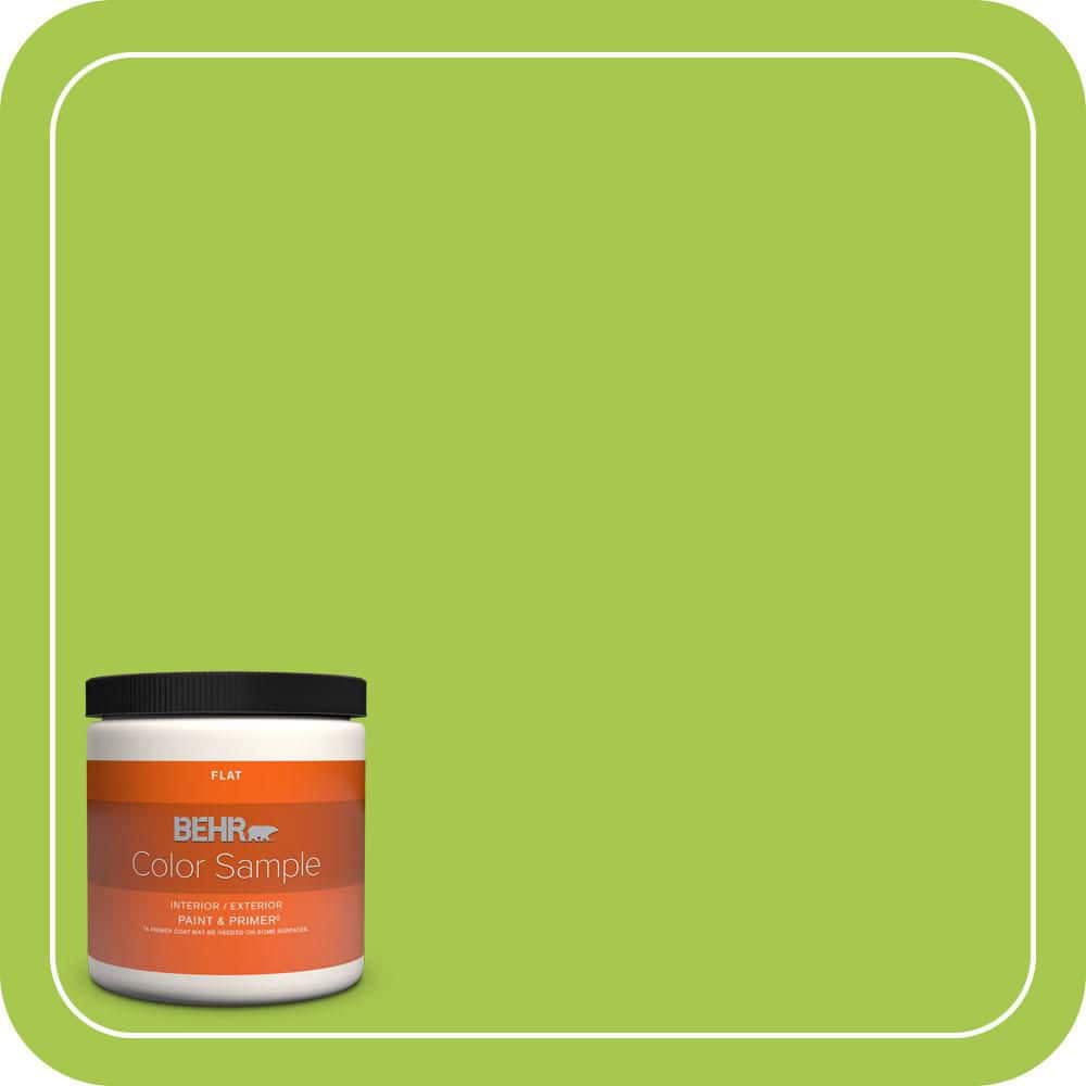 8 oz. #420B-5 Sweet Midori Flat Interior/Exterior Paint & Primer Color Sample price history on PriceWatchPro