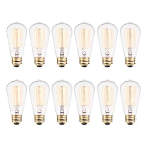 40 Watt ST19 Dimmable Cage Filament Vintage Edison Incandescent Light Bulb, Soft White Light (12-Pack)