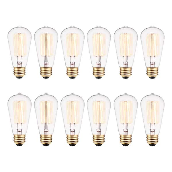 40 Watt ST19 Dimmable Cage Filament Vintage Edison Incandescent Light Bulb, Soft White Light (12-Pack)