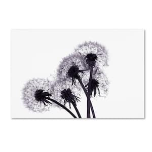 16 in. x 24 in. "Bunch of Wishes" by Beata Czyzowska Young Printed Canvas Wall Art