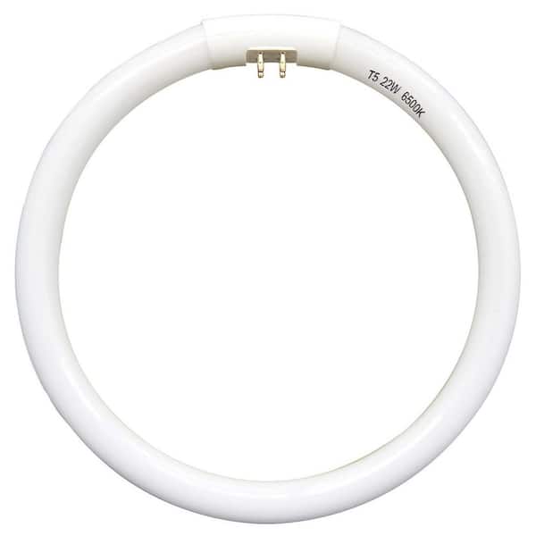 Lumenivo 40W Circline Replacement Bulb 2CT6 Bulb 2800K Circline Fluorescent Lamp Bulb - Double Circle Light Bulb With G10Q-4 4 Pin Base In A Square - 1 Pack