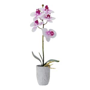 Real Touch 16 in. White/Fuchsia Artificial Orchid Embossed Leaf Cement Pot, Single Branch