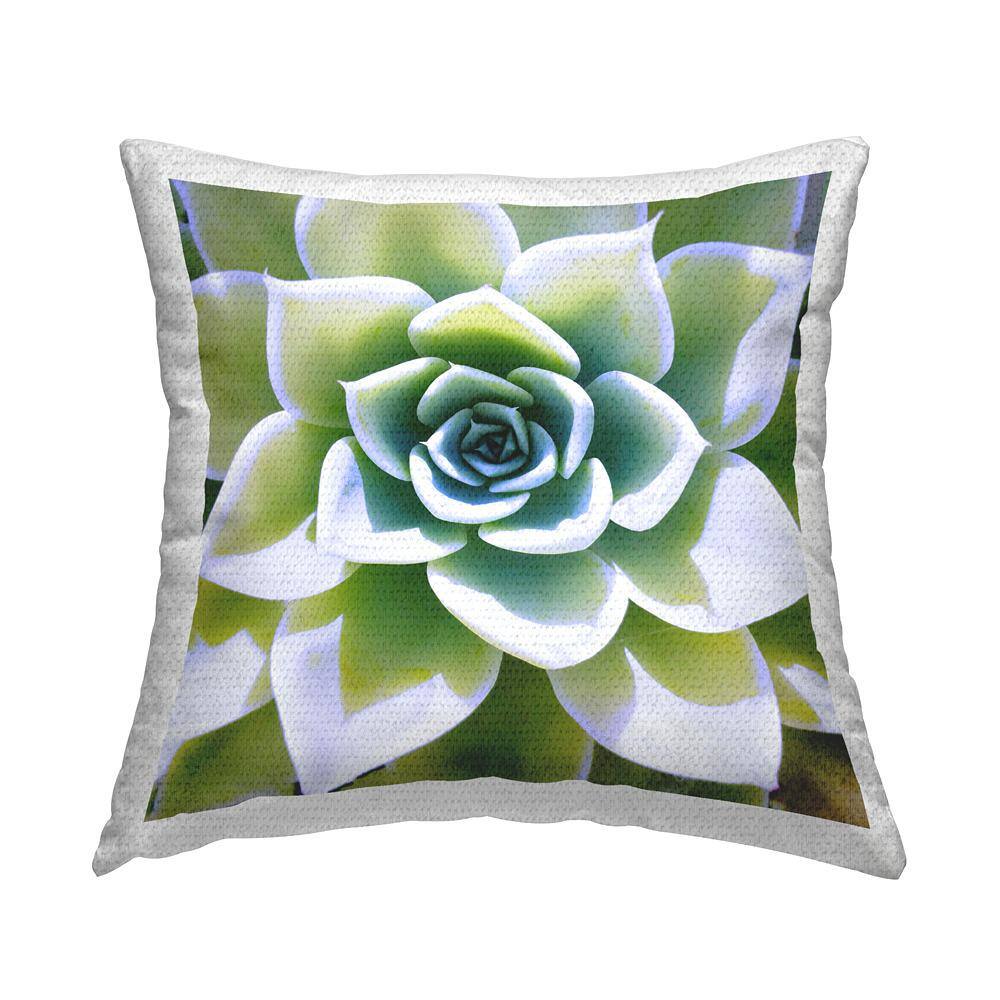 Green Succulent Close Up Gardening Green Square Outdoor Throw Pillow price history on PriceWatchPro