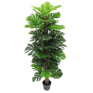 5 ft. Real Touch Artificial Monstera Split Leaf Philodendron Tree with Coco Bark in Pot