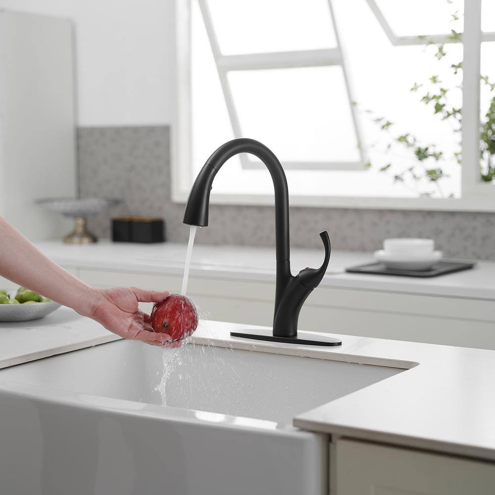 Matte Black High-Arc Single Handle Pull-Down Sprayer Kitchen Faucet
