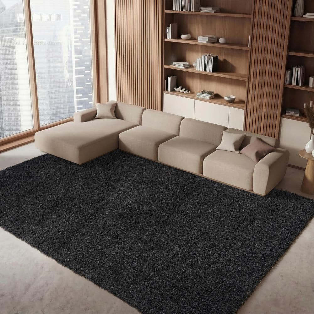 August Shag 2 ft. x 3 ft. Charcoal Solid Color Area Rug price history on PriceWatchPro