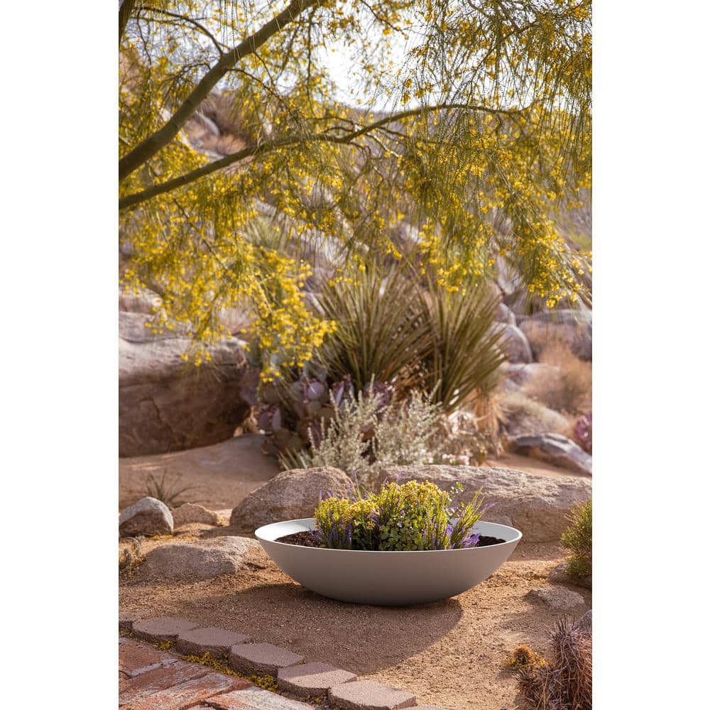 Modern Lane Bowl 32" White Plastic-Stone Composite Planter Duo