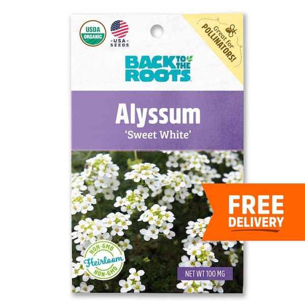 Back to the Roots Organic Alyssum Sweet White Gardening Seeds