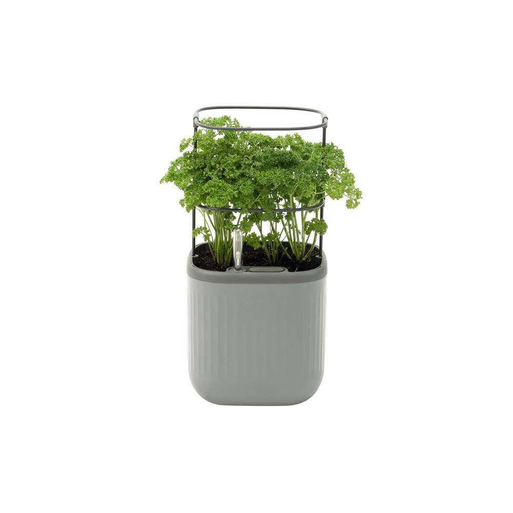 reviews-for-vego-garden-mini-planter-box-recyclable-plastic-with