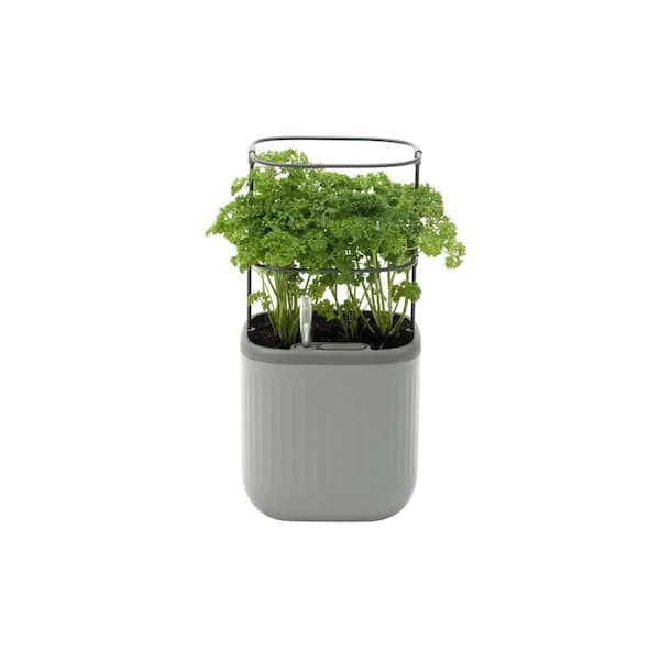 Mini Planter Box Recyclable Plastic with Trellis Self-Watering Raised Garden Bed Fog Gray