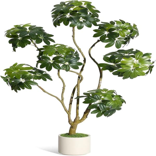 6ft Artificial Umbrella Schefflera Tree with Pot PHK_359QRBRS-WSS