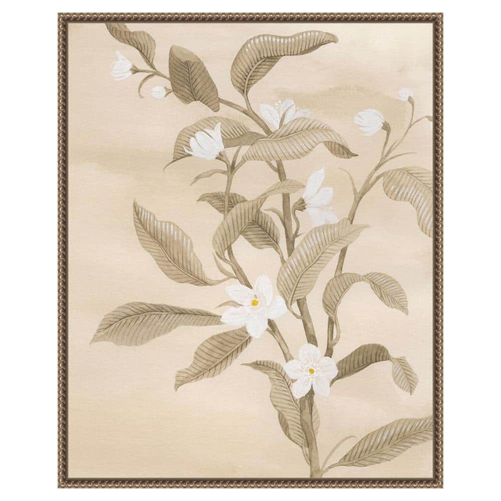 Sepia Orange Blossom Sketch II Canvas Wall Art with Bronze Frame