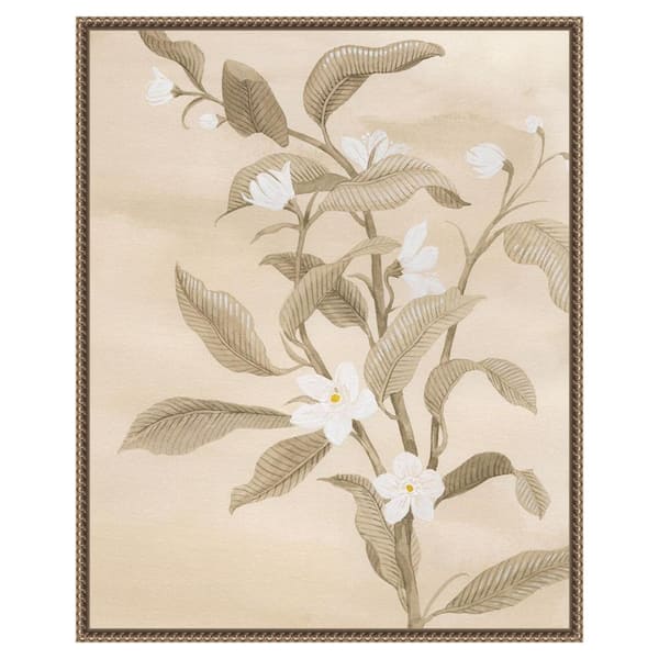 Amanti Art Sepia Orange Blossom Sketch II by Grace Popp 23 in. W x 28 in. H. Canvas Wall Art Print Framed in Bronze