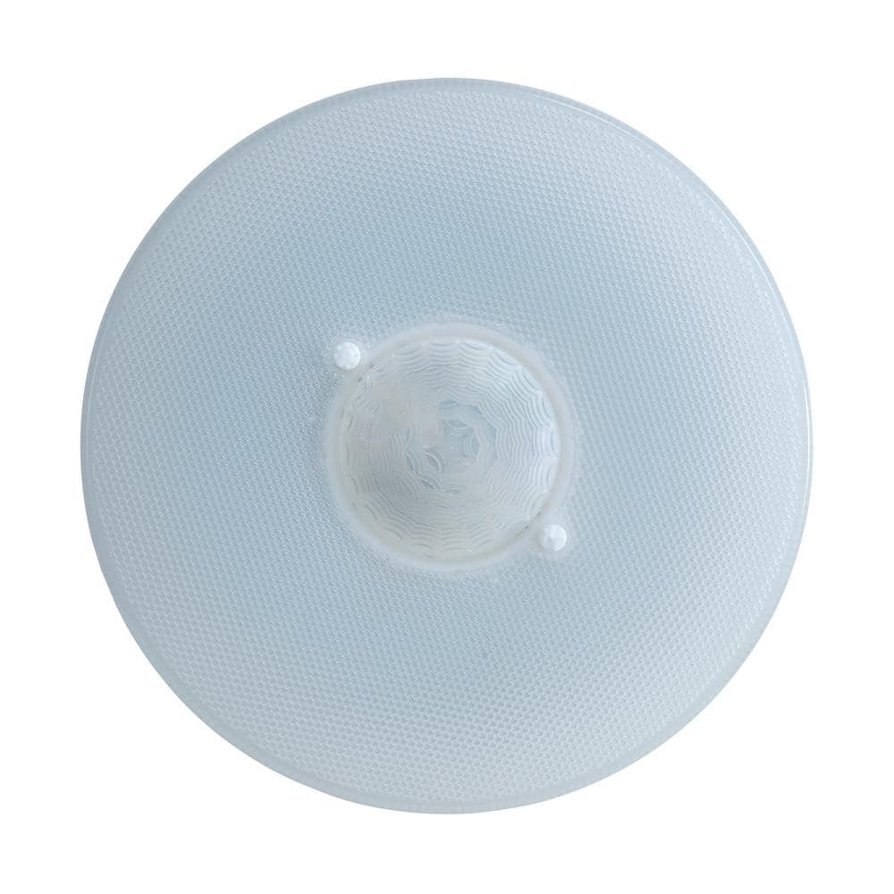 White Textured Glass Medium Indoor/Outdoor LED Flush Mount Light