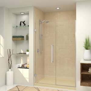 Elizabeth 54 in. W x 76 in. H Hinged Frameless Shower Door in Brushed Stainless with Clear Glass