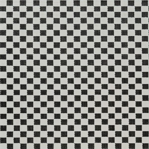 Black, White 4 ft. x 6 ft. Woven Geometric Polypropylene Rectangle Indoor/Outdoor Area Rug