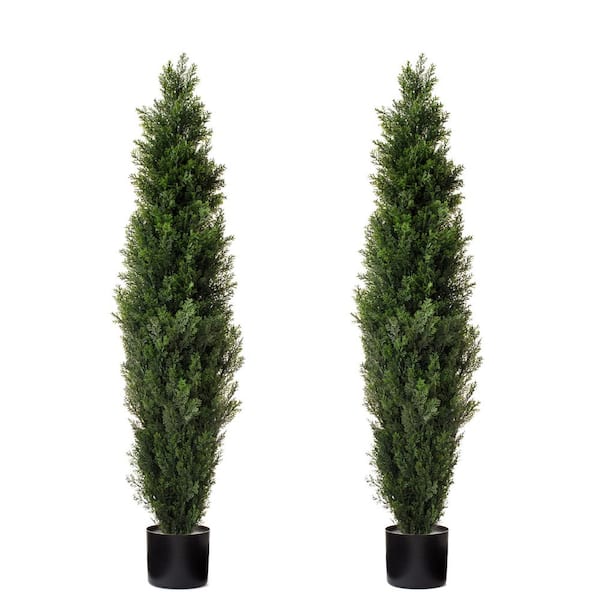 Forever Leaf 48 In. Cedar Artificial Boxwood Topiary Tree (2 Pack 