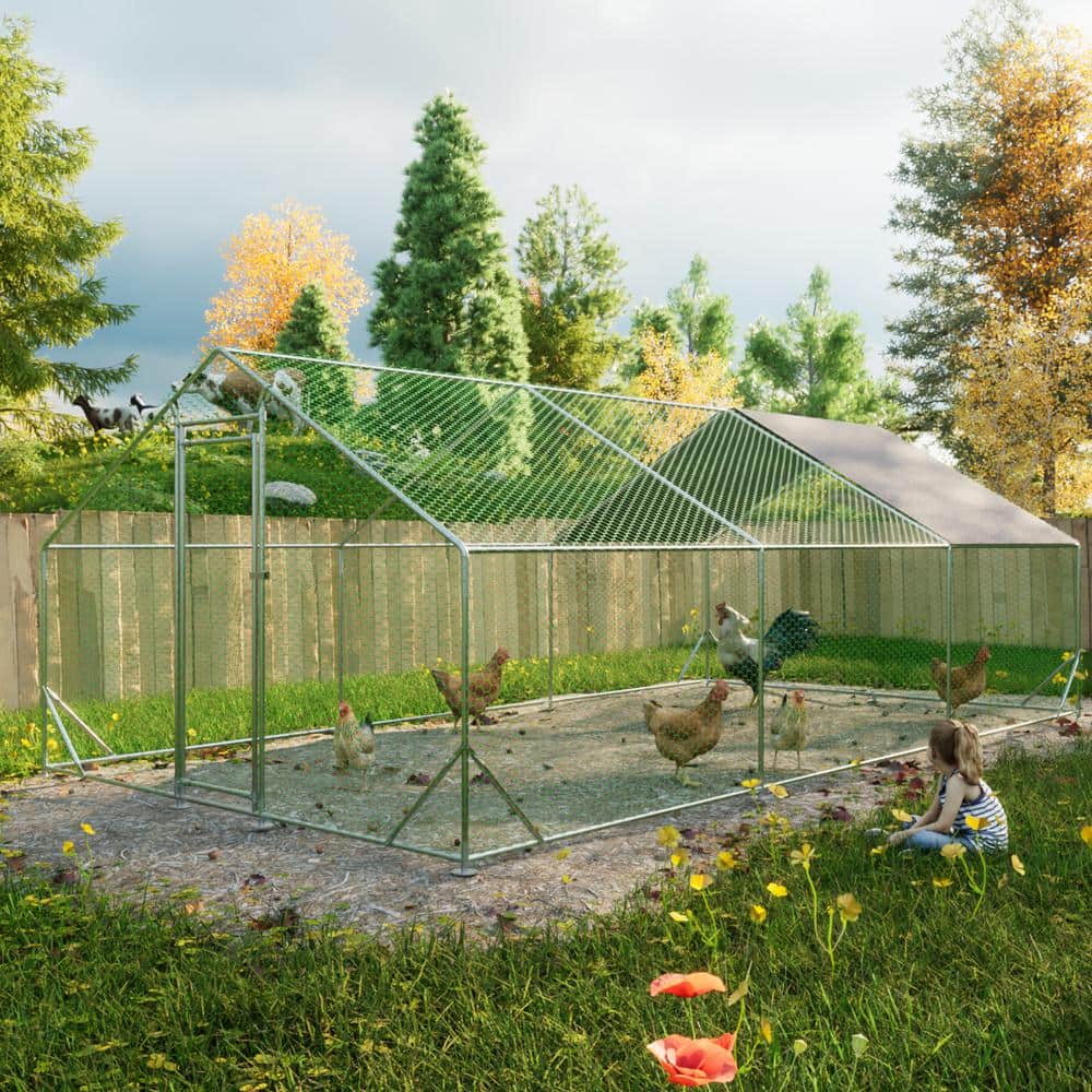 10 L x 20 W x 6.56 H, Metal Chicken Coop, Walk-In with Waterproof Cover,