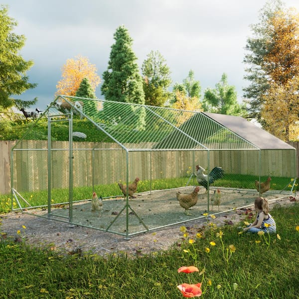 FIROMO 10' L x 20' W x 6.56' H, Metal Chicken Coop, Walk-In with Waterproof Cover, Lockable, Pointed Roof, White