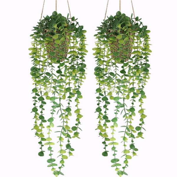 Unbranded 20.87 in. Green Fake Hanging Plant with Woven Basket, Artificial  Vines Eucalyptus Leaf Hanging Pot Plant (2-Pack) NY04233