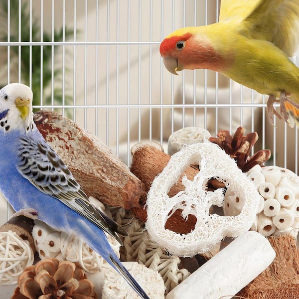Medium Bird Toys Sets for Parakeets Cockatiels Conures Love Birds and Other Birds (1-Pack)