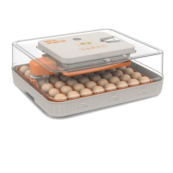 18.90 in. x 16.54 in. 56-Egg LED Cold-light Poultry Incubator Temperature Display Humidity Control and Water Serving