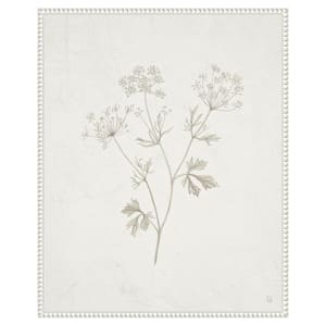 "Plants from the Meadow IV" by Sarah Adams 1-Piece Floater Frame Giclee Home Canvas Art Print 28 in. x 23 in.