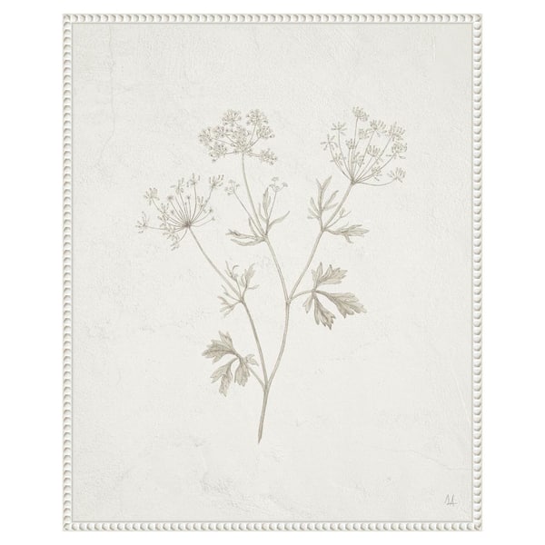 Amanti Art "Plants from the Meadow IV" by Sarah Adams 1-Piece Floater Frame Giclee Home Canvas Art Print 28 in. x 23 in.