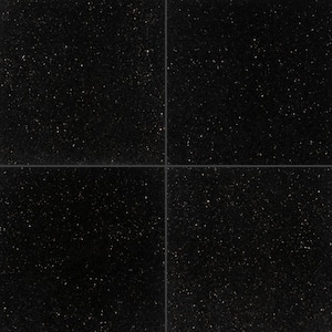 Black Galaxy 18 in. x 18 in. Polished Granite Stone Look Floor and Wall Tile (9 sq. ft./Case)