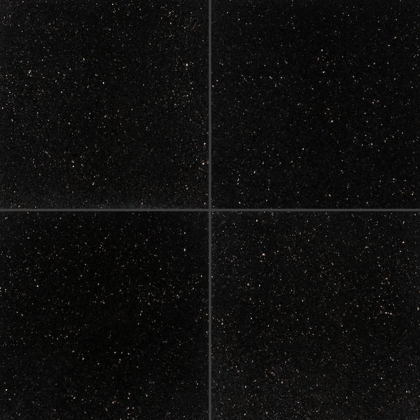 MSI Black Galaxy 18 in. x 18 in. Polished Granite Stone Look Floor and Wall Tile (9 sq. ft./Case)